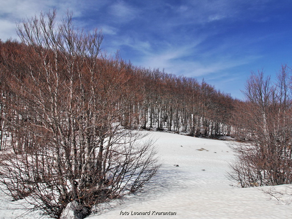 Veliko Rujno – Buljma – Struge