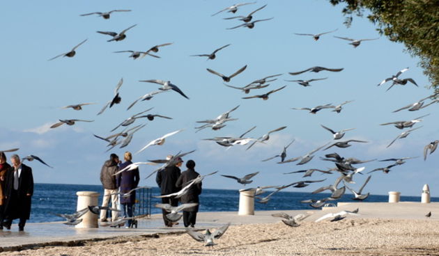 Zadar, 070110.
Dok je kontinentalni dio Hrvatske pod snijegom u Zadru je nakon visednevnog padanja kise napokon izaslo sunce koje je izmamilo zadrane na setnju, a isto tako i golubove na igru.
Foto: Andrija Lucic / CROPIX