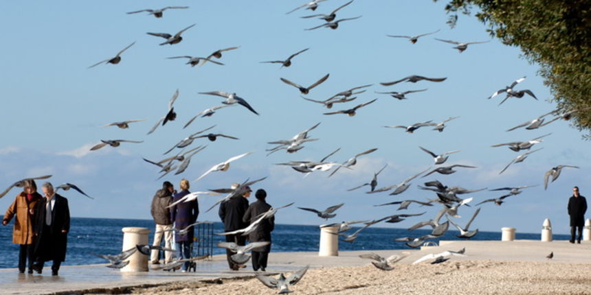Zadar, 070110.
Dok je kontinentalni dio Hrvatske pod snijegom u Zadru je nakon visednevnog padanja kise napokon izaslo sunce koje je izmamilo zadrane na setnju, a isto tako i golubove na igru.
Foto: Andrija Lucic / CROPIX Zadar, 070110.
Dok je kontinentalni dio Hrvatske pod snijegom u Zadru je nakon visednevnog padanja kise napokon izaslo sunce koje je izmamilo zadrane na setnju, a isto tako i golubove na igru.
Foto: Andrija Lucic / CROPIX