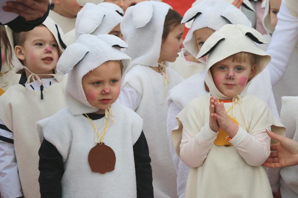 Virski Karnevalić 2017.