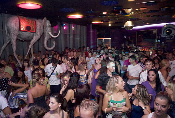 Koncert Jole u Dali baru, 13. kolovoza 2009.