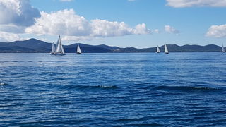 Zadarska Koka 2016. 22. listopada 2016. Foto: Mladen Malik Zadarska Koka 2016. 22. listopada 2016. Foto: Mladen Malik