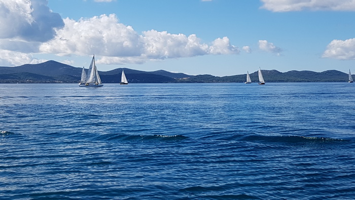 Zadarska Koka 2016. 22. listopada 2016. Foto: Mladen Malik Zadarska Koka 2016. 22. listopada 2016. Foto: Mladen Malik