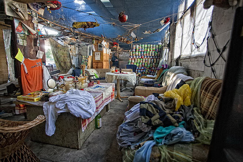 Kako zive beskucnici