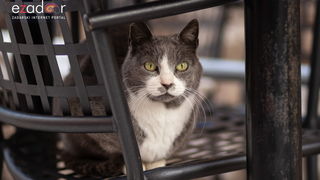 Đir po gradu, subotnja špica 19. siječnja 2019. Đir po gradu, subotnja špica 19. siječnja 2019.