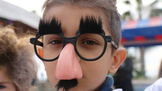 Virski karnevalić 2016. Virski karnevalić 2016.