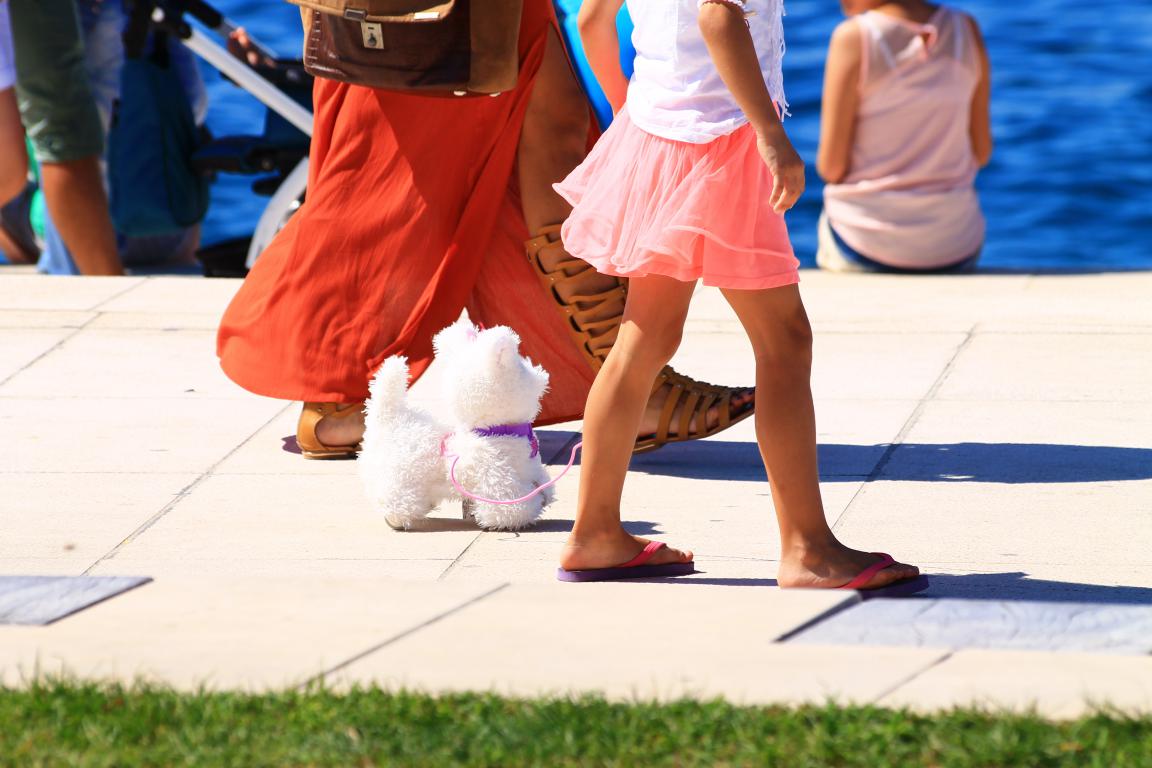 Đir po zadarskoj rivi 25. kolovoza 2016.