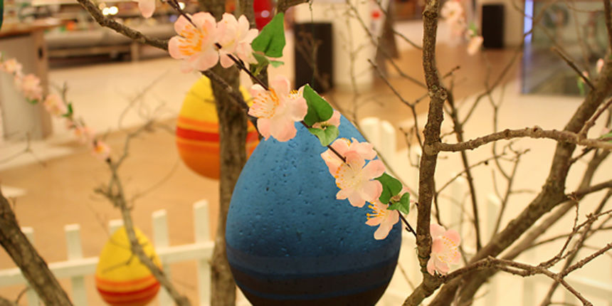 Supernova: Igra s uskrsnim zekom (foto:Mia Čop)