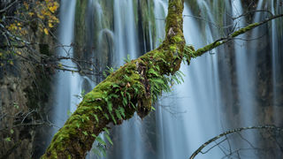 Boje jeseni na Plitvičkim jezerima