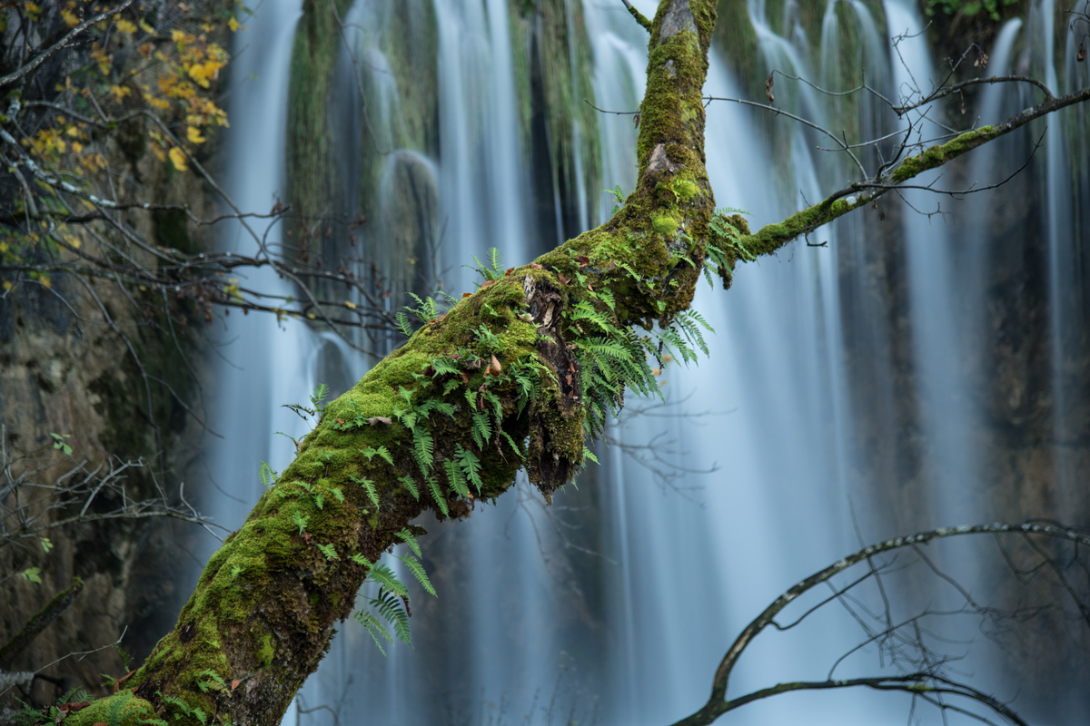 Boje jeseni na Plitvičkim jezerima