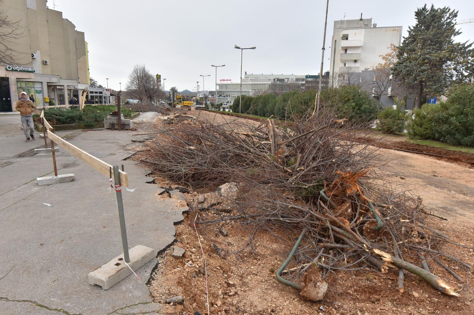 Na Bulevaru posječena stabla lipe stara 40 godina