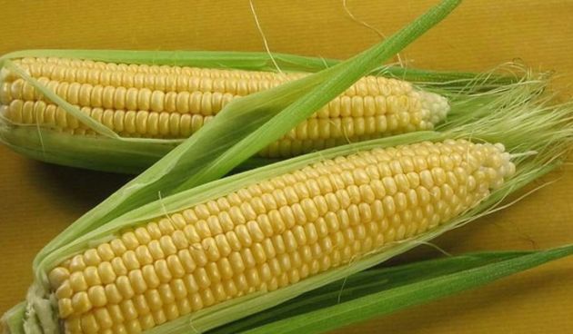Kukuruz, foto: coolinarika.com