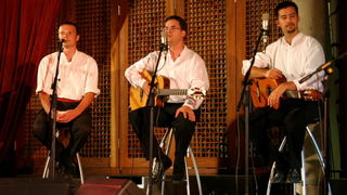 Image 1207209 (auto)