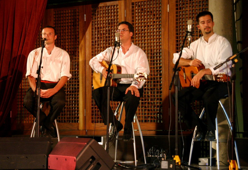 Image 1207209 (auto)