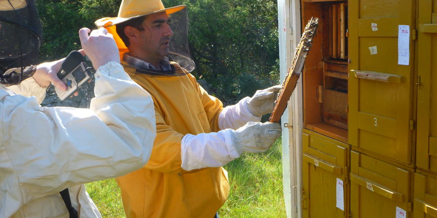 OPG Mladen Jezidžić – pčelarstvo OPG Mladen Jezidžić – pčelarstvo