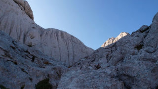 OLYMPUS DIGITAL CAMERA OLYMPUS DIGITAL CAMERA