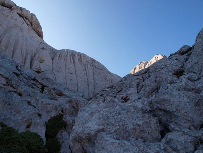 OLYMPUS DIGITAL CAMERA OLYMPUS DIGITAL CAMERA