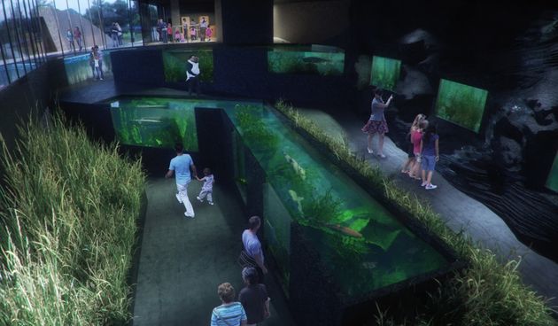 KAquarium prvi slatkovodni akvarij u Hrvatskoj