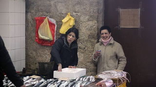 Đir po pešakariji 24. veljače 2012, Foto. Saša Čuka Đir po pešakariji 24. veljače 2012, Foto. Saša Čuka