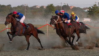 Polača: 14. Međunarodne konjičke utrke “Oluja 95”, Foto: Leo Banić Polača: 14. Međunarodne konjičke utrke “Oluja 95”, Foto: Leo Banić