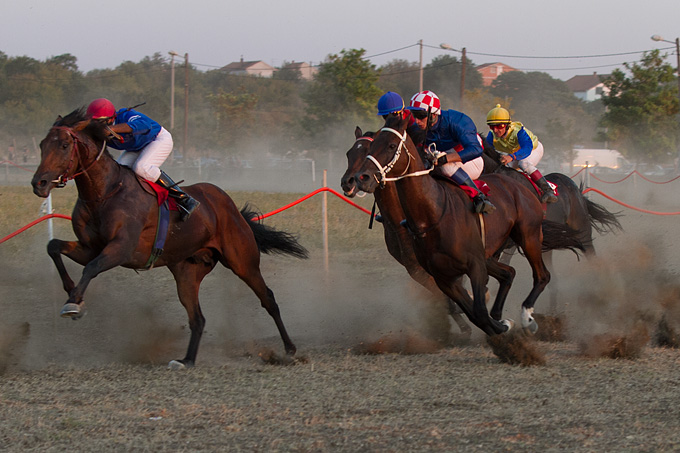 Polača: 14. Međunarodne konjičke utrke “Oluja 95”, Foto: Leo Banić Polača: 14. Međunarodne konjičke utrke “Oluja 95”, Foto: Leo Banić