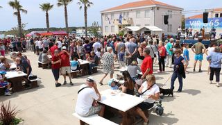 Velika prvosvibanjska fešta na Viru Velika prvosvibanjska fešta na Viru