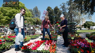 Đir po gradu, četvrtak 19. travnja 2018. Đir po gradu, četvrtak 19. travnja 2018.