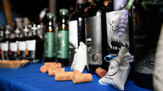 Gastro & wine night @ Vrsi Gastro & wine night @ Vrsi