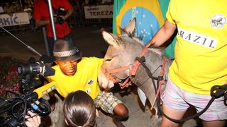 Tisno: 6. Međunarona “Trka tovarov”, Foto: Edin Kadić Tisno: 6. Međunarona “Trka tovarov”, Foto: Edin Kadić