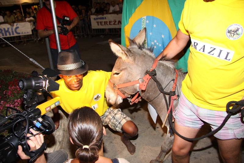 Tisno: 6. Međunarona “Trka tovarov”, Foto: Edin Kadić Tisno: 6. Međunarona “Trka tovarov”, Foto: Edin Kadić