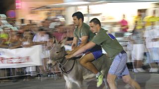 Tisno: 7. Međunarodna trka tovarov, Foto: Edin Kadić Tisno: 7. Međunarodna trka tovarov, Foto: Edin Kadić