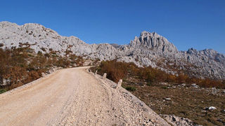 OLYMPUS DIGITAL CAMERA OLYMPUS DIGITAL CAMERA