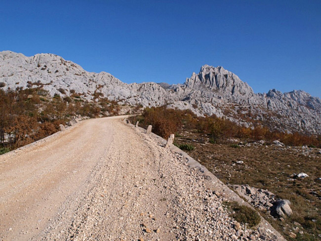 OLYMPUS DIGITAL CAMERA OLYMPUS DIGITAL CAMERA