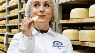 Image 6124733 (auto)