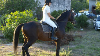 Bokanjacka alka na Kuntradi 8. kolovoza 2010., Foto: Nino Pavic