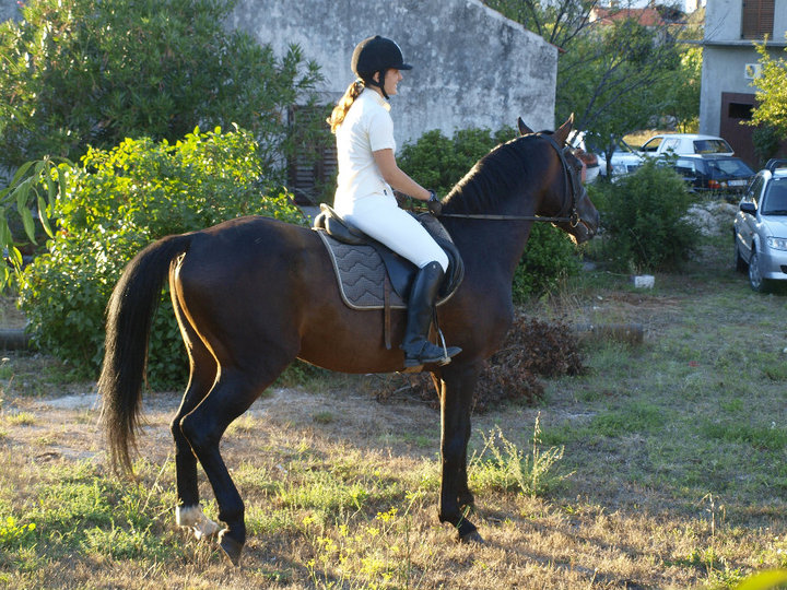 Bokanjacka alka na Kuntradi 8. kolovoza 2010., Foto: Nino Pavic