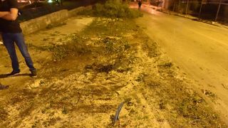 Prosvjed građana zbog odluke Grada da posječe drvored fafarikula u Vruljici Prosvjed građana zbog odluke Grada da posječe drvored fafarikula u Vruljici