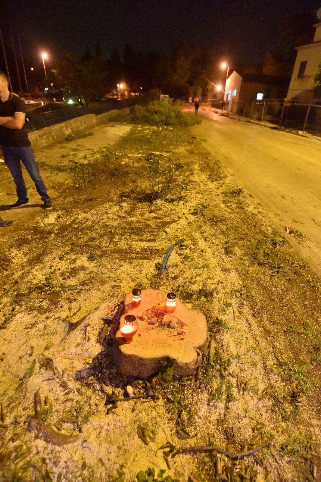 Prosvjed građana zbog odluke Grada da posječe drvored fafarikula u Vruljici Prosvjed građana zbog odluke Grada da posječe drvored fafarikula u Vruljici