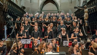 Zadarski komorni orkestar: Beethovenova Deveta simfonija u katedrali Sv. Stošije