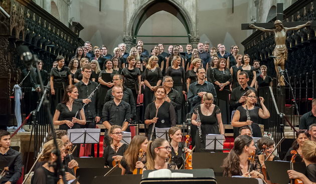 Zadarski komorni orkestar: Beethovenova Deveta simfonija u katedrali Sv. Stošije