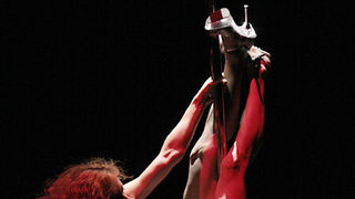 Image 1032909 (auto)