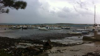 Posljedice juga u Premudi, Foto: Veljko Žuvanić