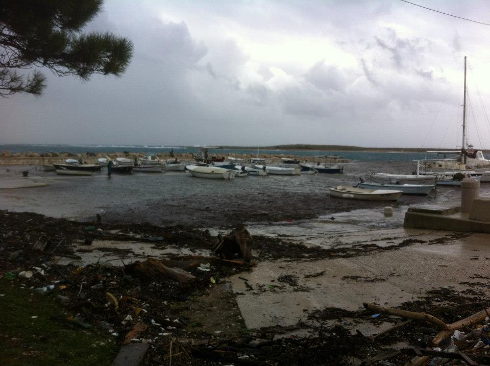Posljedice juga u Premudi, Foto: Veljko Žuvanić