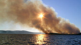 Image 1177175 (auto)