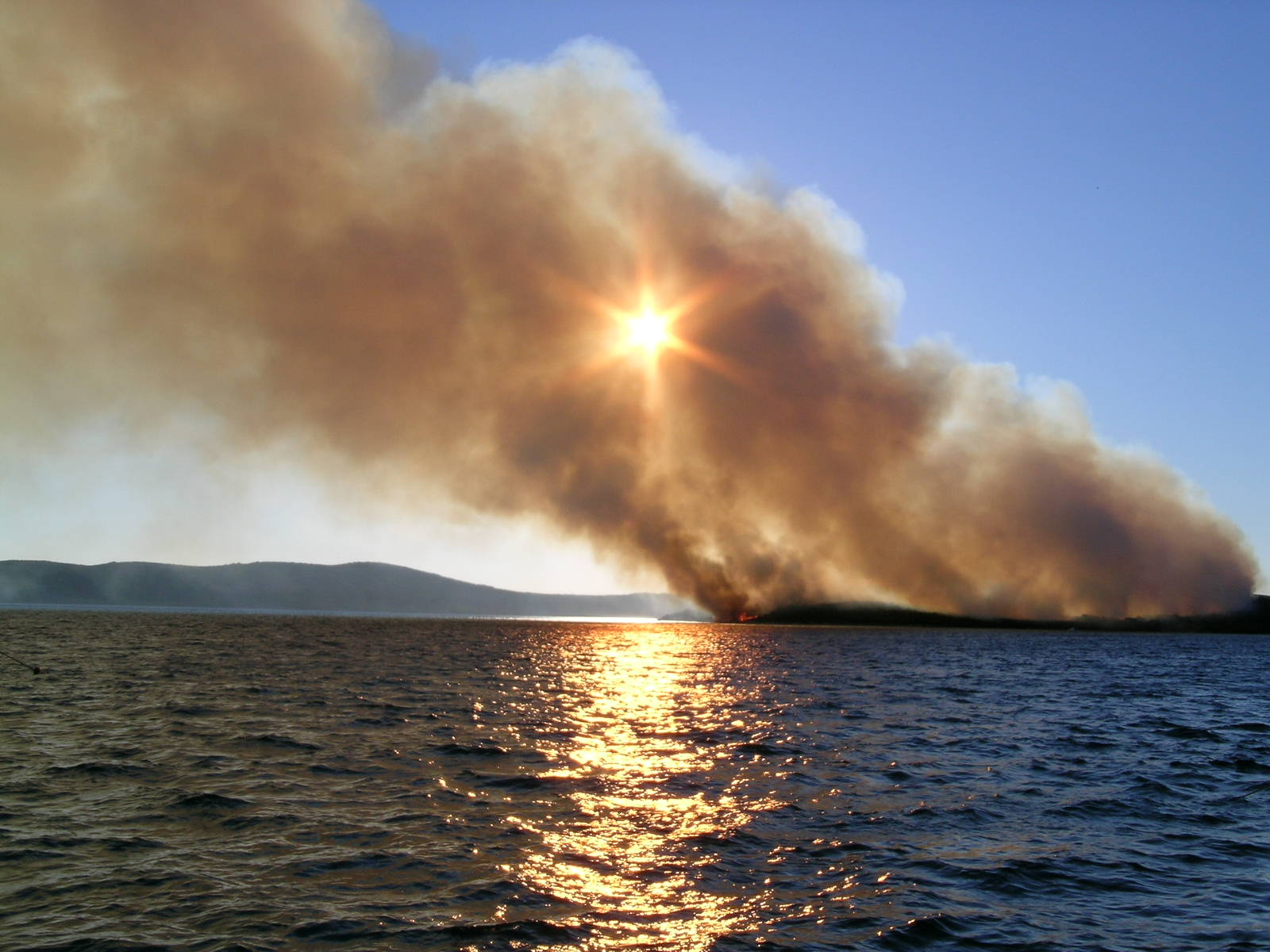 Image 1177175 (auto)