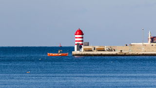 Đir po gradu 29. studenog 2016.