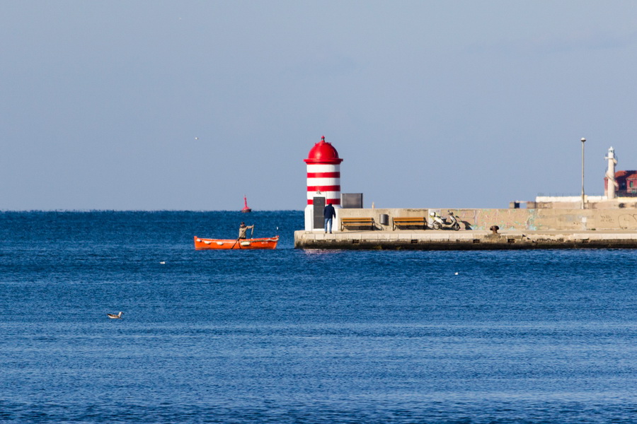 Đir po gradu 29. studenog 2016.
