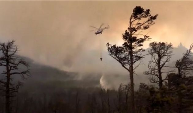 Šumski požar, Foto: Hina