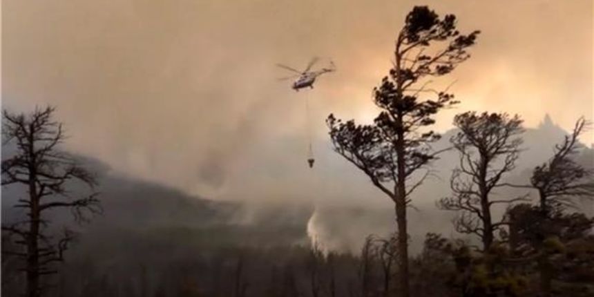 Šumski požar, Foto: Hina Šumski požar, Foto: Hina