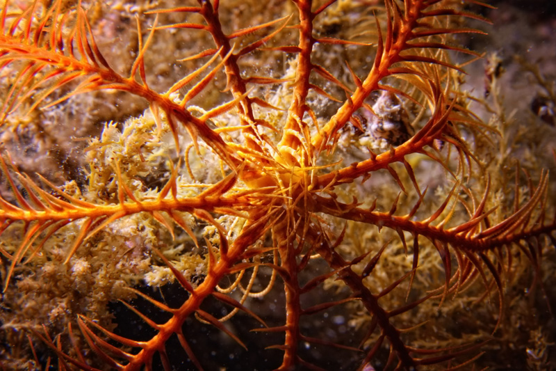 Foto: Ante Uglešić Foto: Ante Uglešić